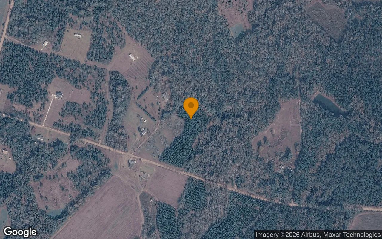 15.35 Acres in Eastman - Pulaski County, GA in Pulaski County, GA