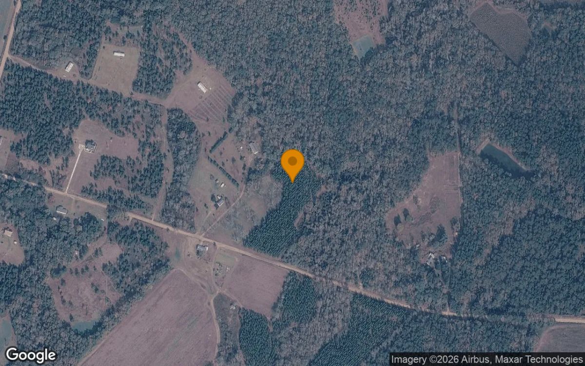 15.35 Acres in Eastman - Pulaski County, GA - Main image