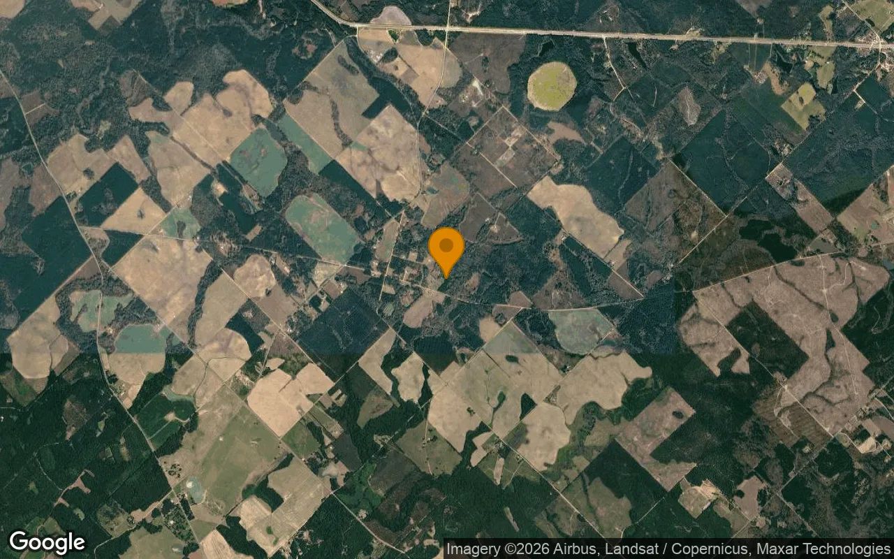 15.35 Acres in Eastman - Pulaski County, GA in Pulaski County, GA