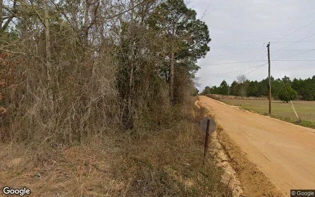 Decorative background for 15.35 Acres in Eastman - Pulaski County, GA image 5
