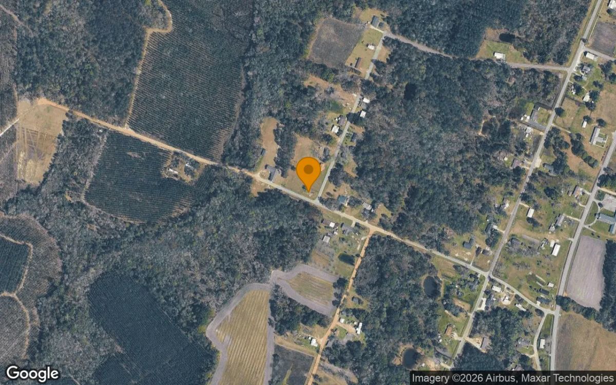 0.12 Acres in Surrency - Appling County, GA - Main image