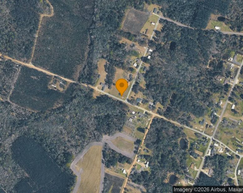 0.12 Acres in Surrency - Appling County, GA in Appling County, GA