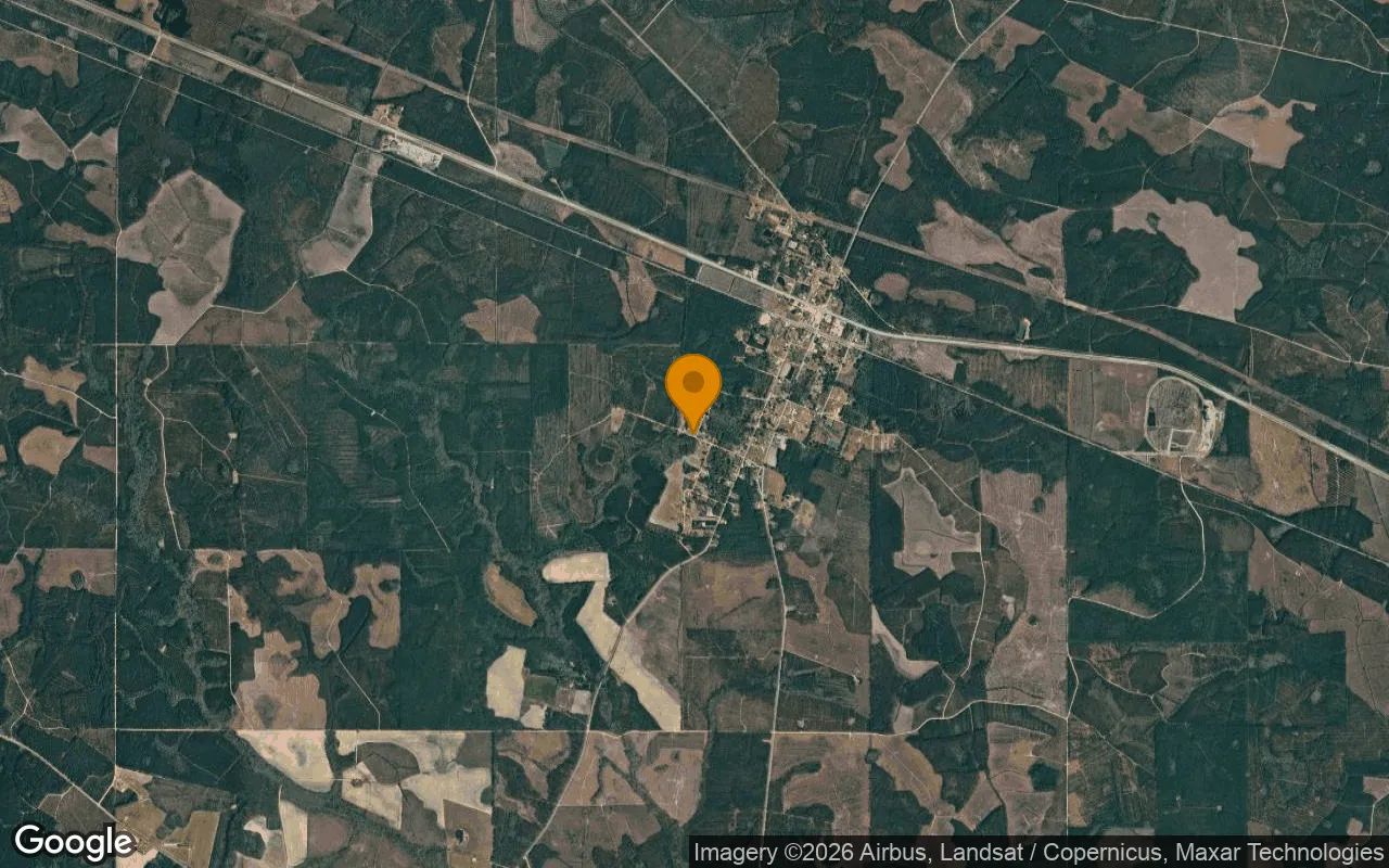 0.12 Acres in Surrency - Appling County, GA in Appling County, GA