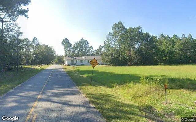 Decorative background for 0.12 Acres in Surrency - Appling County, GA image 5