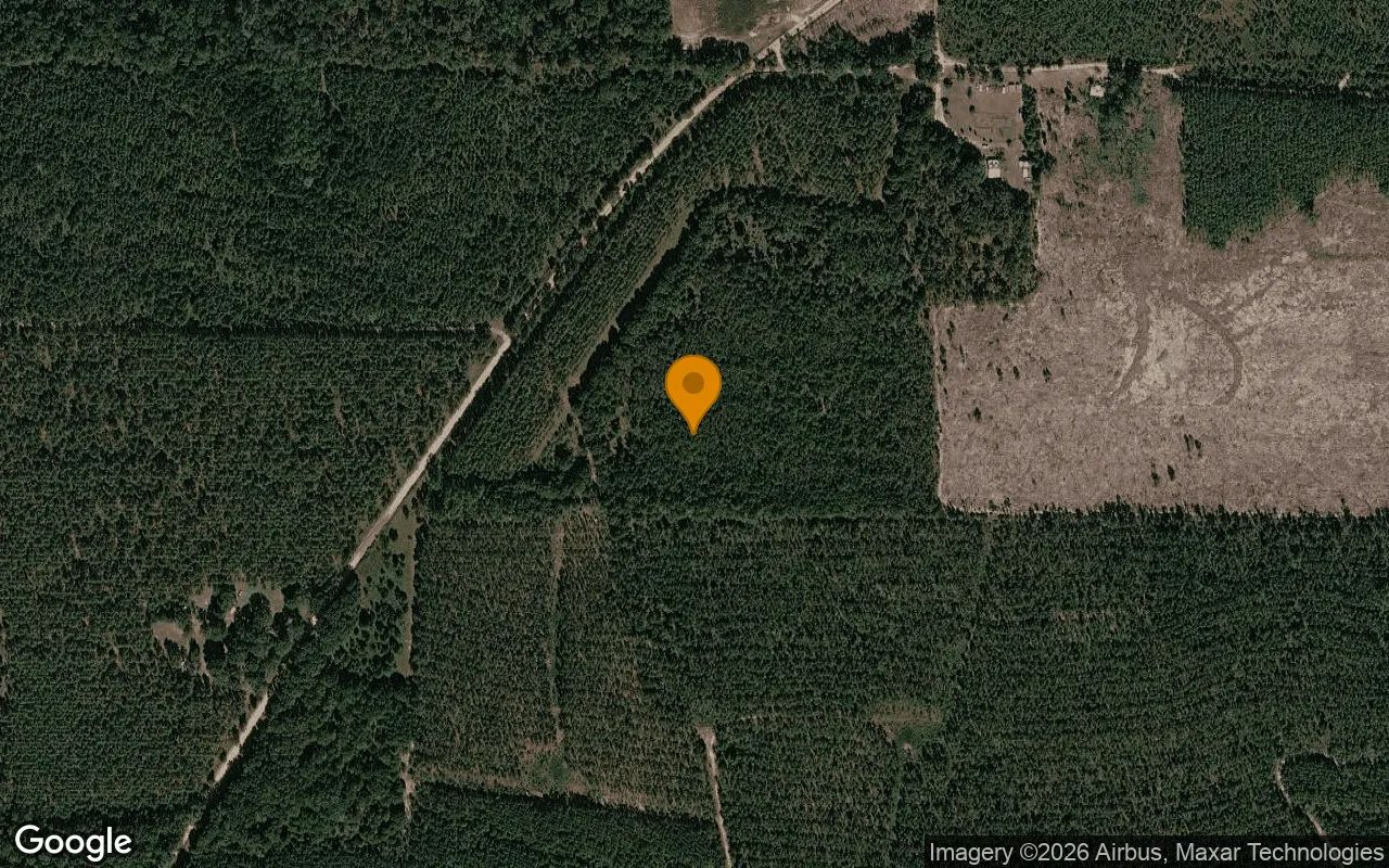 125.16 Acres in Preston - Webster County, GA in Webster County, GA