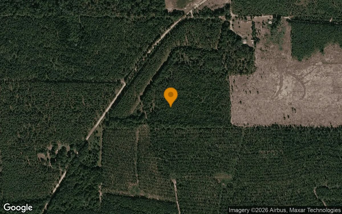 125.16 Acres in Preston - Webster County, GA - Main image