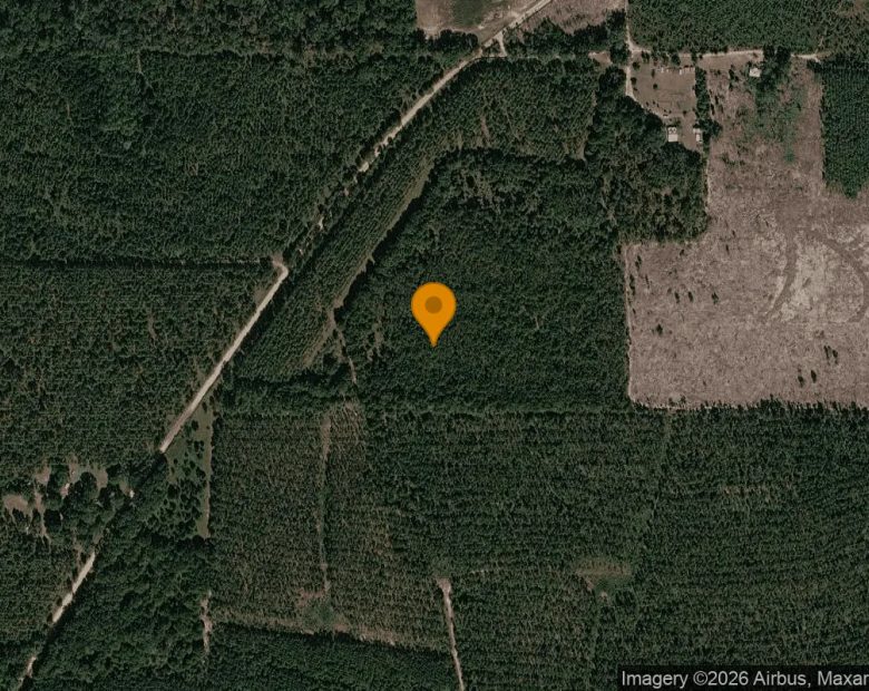 125.16 Acres in Preston - Webster County, GA in Webster County, GA