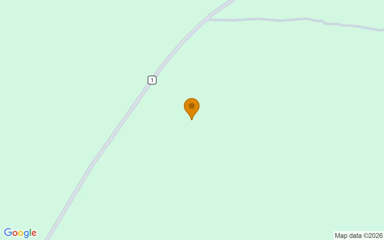 125.16 Acres in Preston - Webster County, GA in Webster County, GA