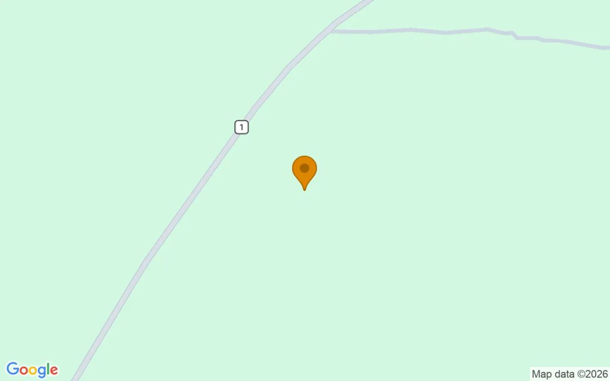 125.16 Acres in Preston - Webster County, GA - Image 2