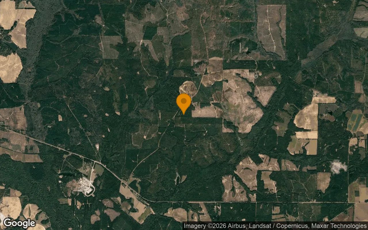 125.16 Acres in Preston - Webster County, GA in Webster County, GA