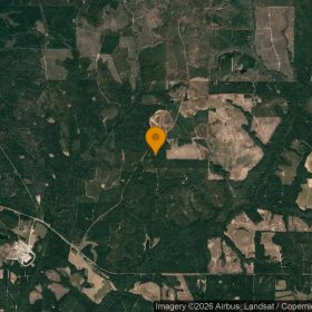 125.16 Acres in Preston - Webster County, GA in Webster County, GA
