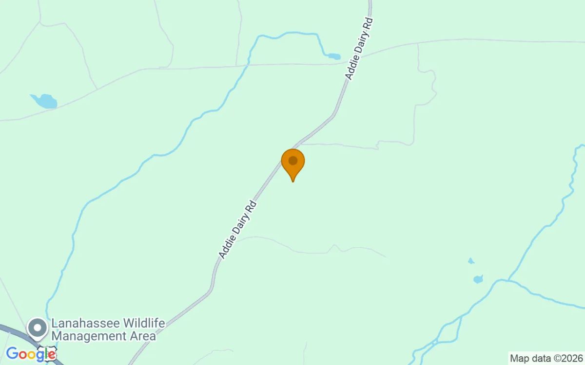 125.16 Acres in Preston - Webster County, GA - Image 4