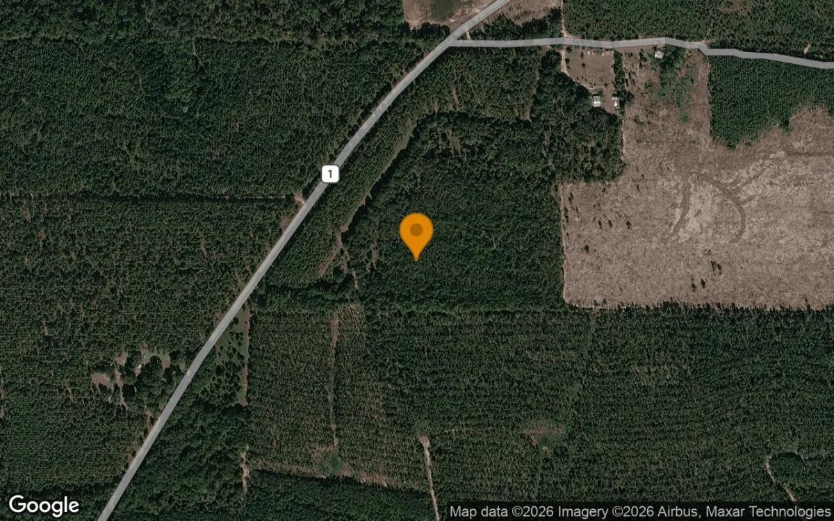 Decorative background for 125.16 Acres in Preston - Webster County, GA image 6