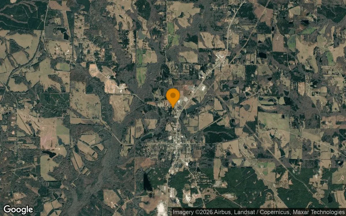 0.53 Acres in Williamson - Pike County, GA - Image 3