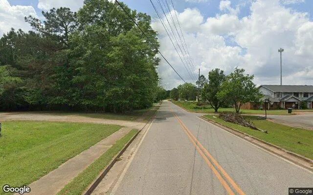 Decorative background for 0.53 Acres in Williamson - Pike County, GA image 6