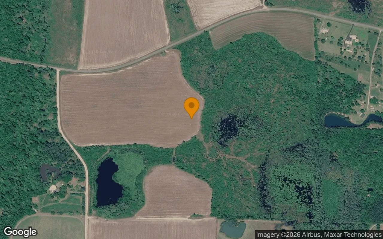 125.04 Acres in Lenox - Cook County, GA in Cook County, GA