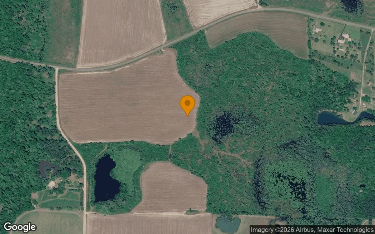 125.04 Acres in Lenox - Cook County, GA - Main image