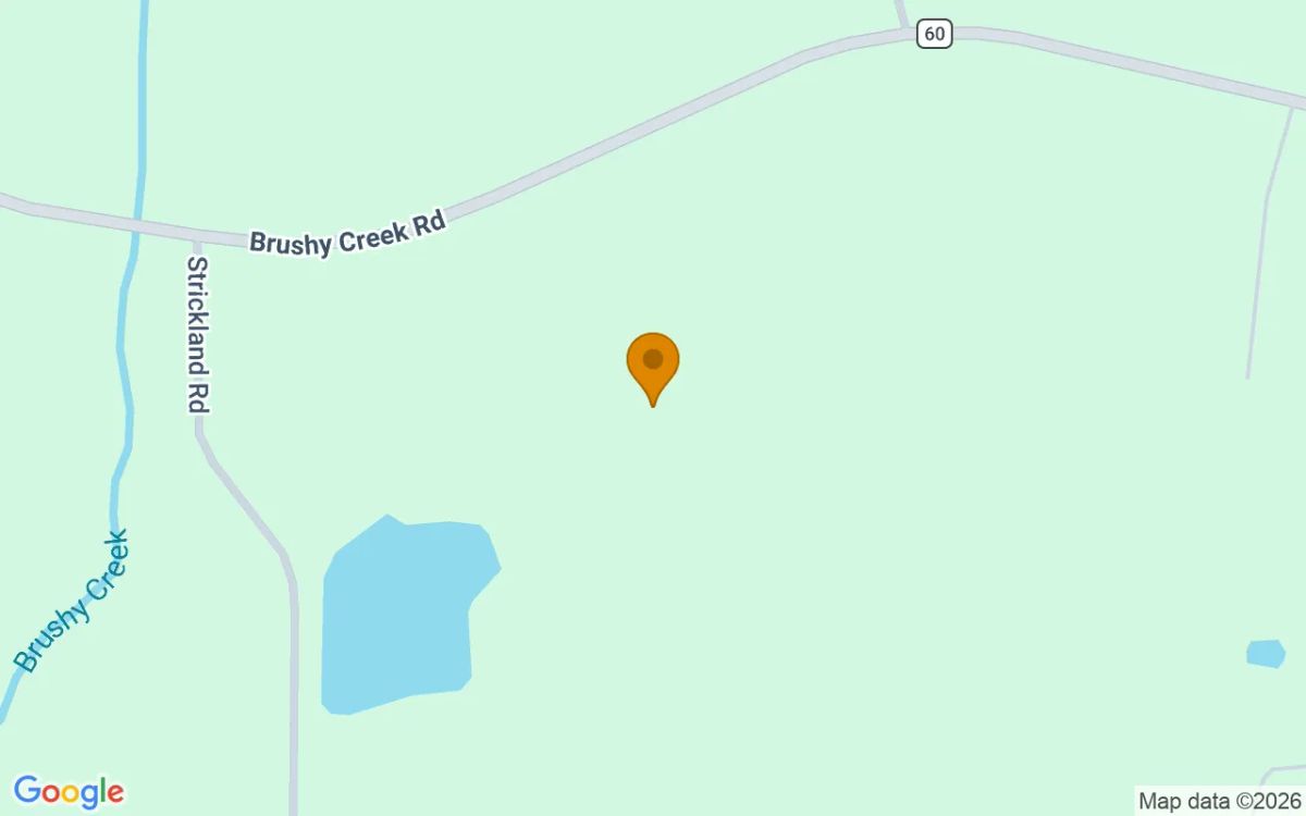 125.04 Acres in Lenox - Cook County, GA - Image 2