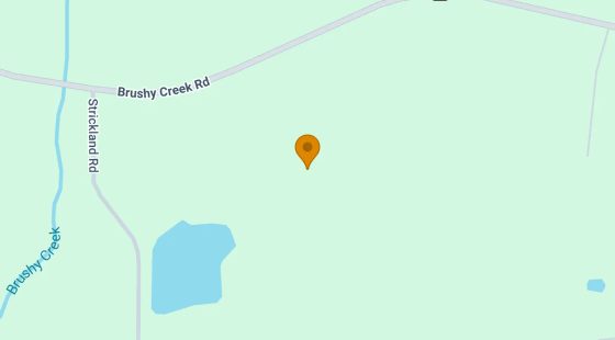 125.04 Acres in Lenox - Cook County, GA in Cook County, GA