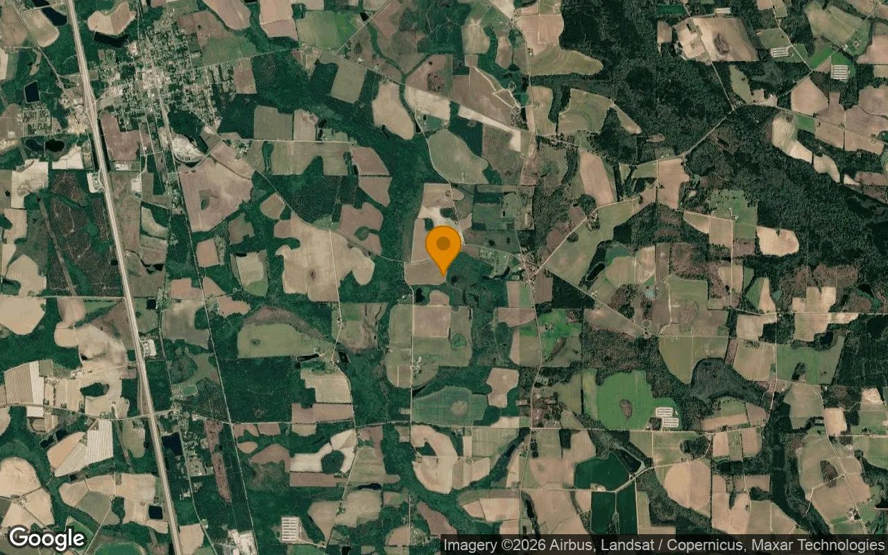 125.04 Acres in Lenox - Cook County, GA in Cook County, GA