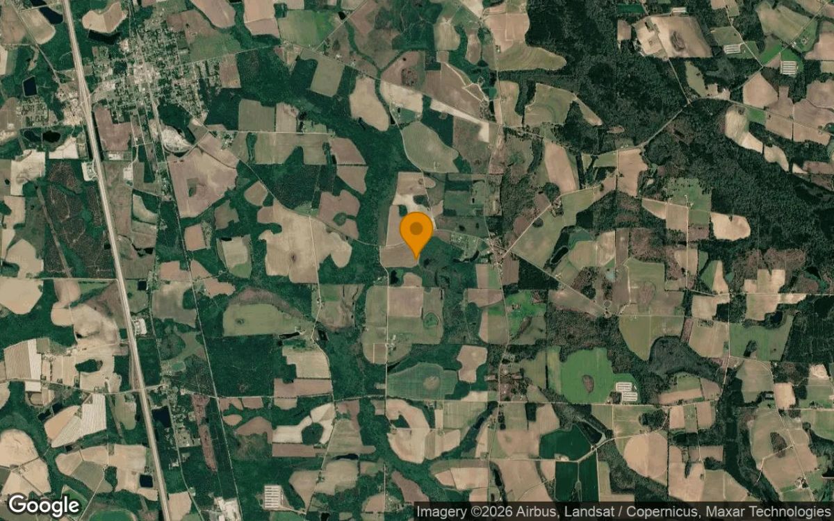 125.04 Acres in Lenox - Cook County, GA - Image 3