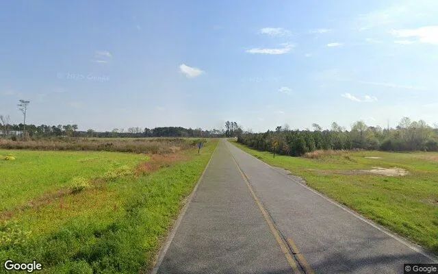 Decorative background for 125.04 Acres in Lenox - Cook County, GA image 5