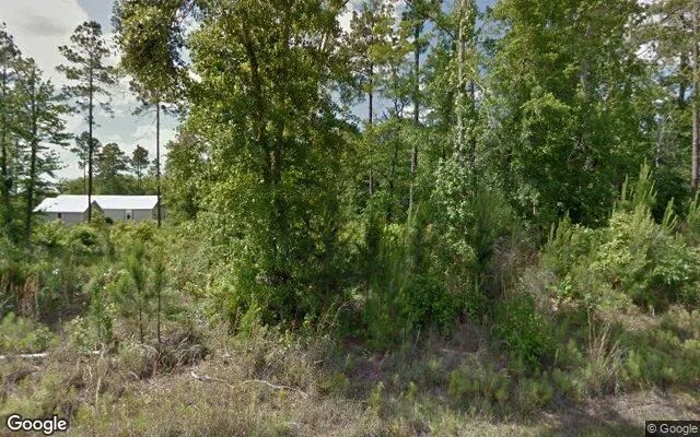 0.55 Acres in Brunswick - Glynn County, GA - Image 4