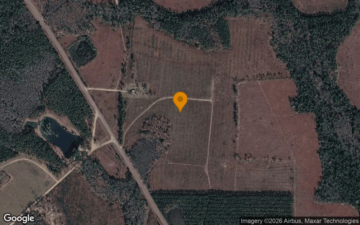 74.58 Acres in Homerville - Clinch County, GA - Main image