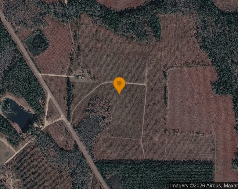 74.58 Acres in Homerville - Clinch County, GA in Clinch County, GA