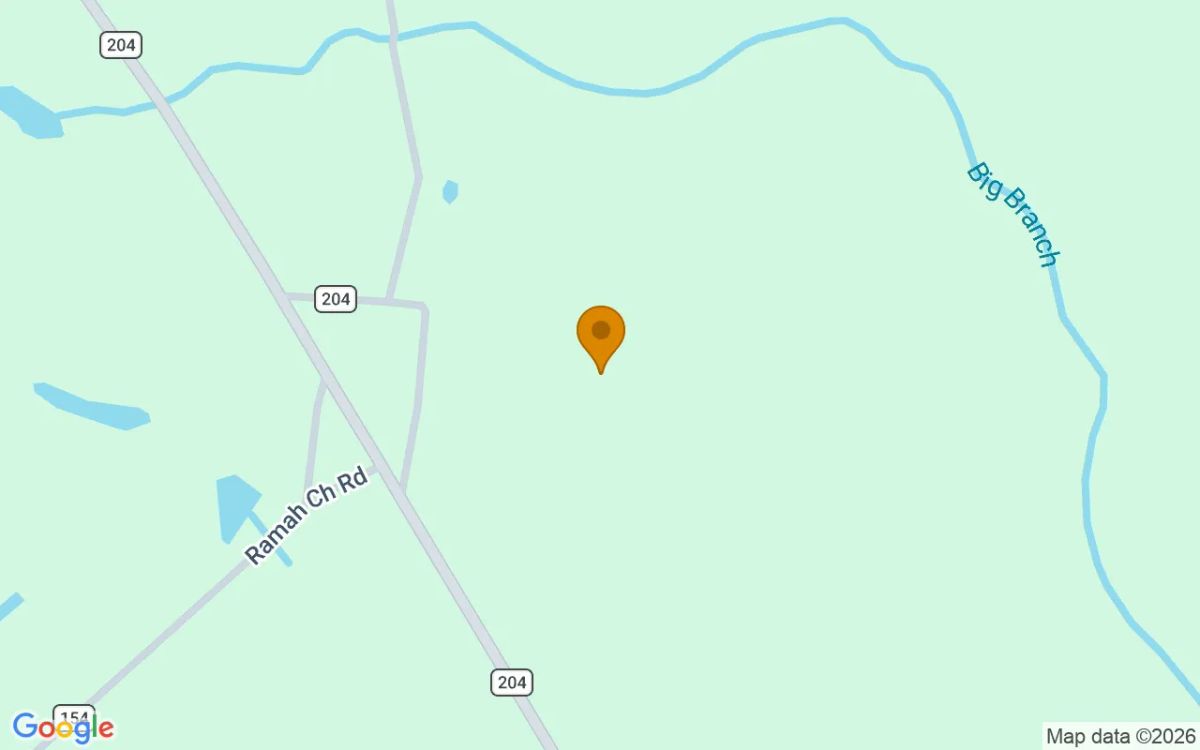 74.58 Acres in Homerville - Clinch County, GA - Image 2