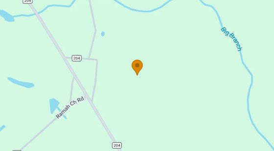 74.58 Acres in Homerville - Clinch County, GA in Clinch County, GA