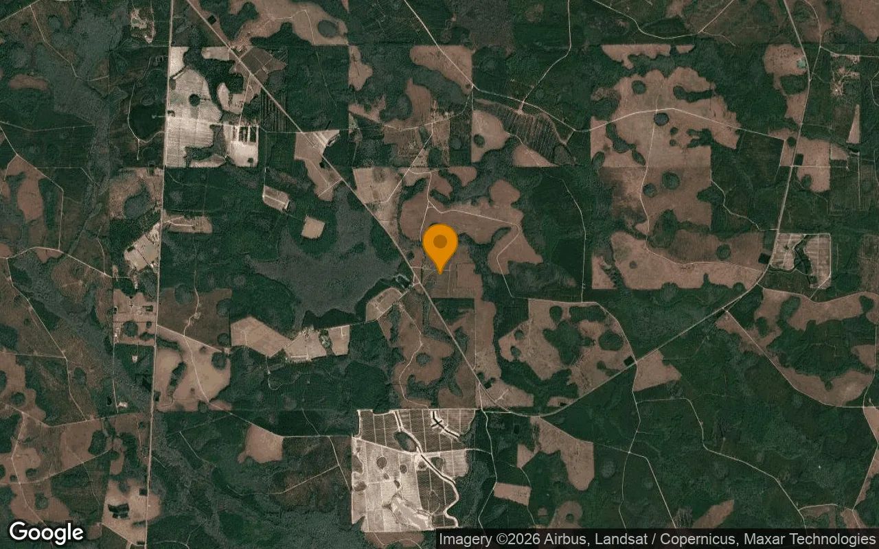 74.58 Acres in Homerville - Clinch County, GA in Clinch County, GA