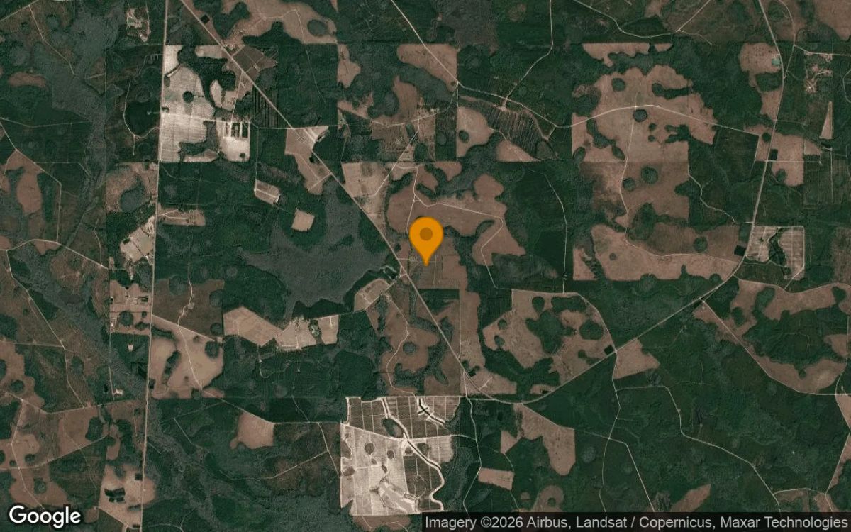 74.58 Acres in Homerville - Clinch County, GA - Image 3
