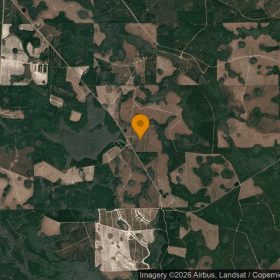 74.58 Acres in Homerville - Clinch County, GA in Clinch County, GA