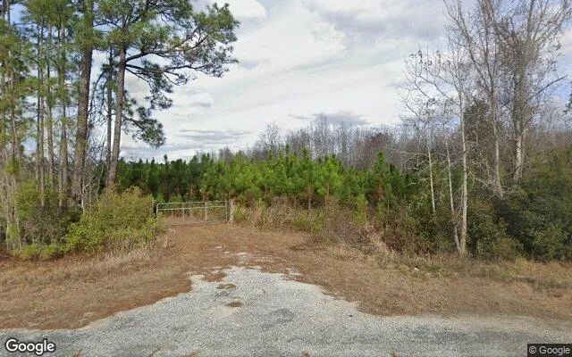 74.58 Acres in Homerville - Clinch County, GA in Clinch County, GA