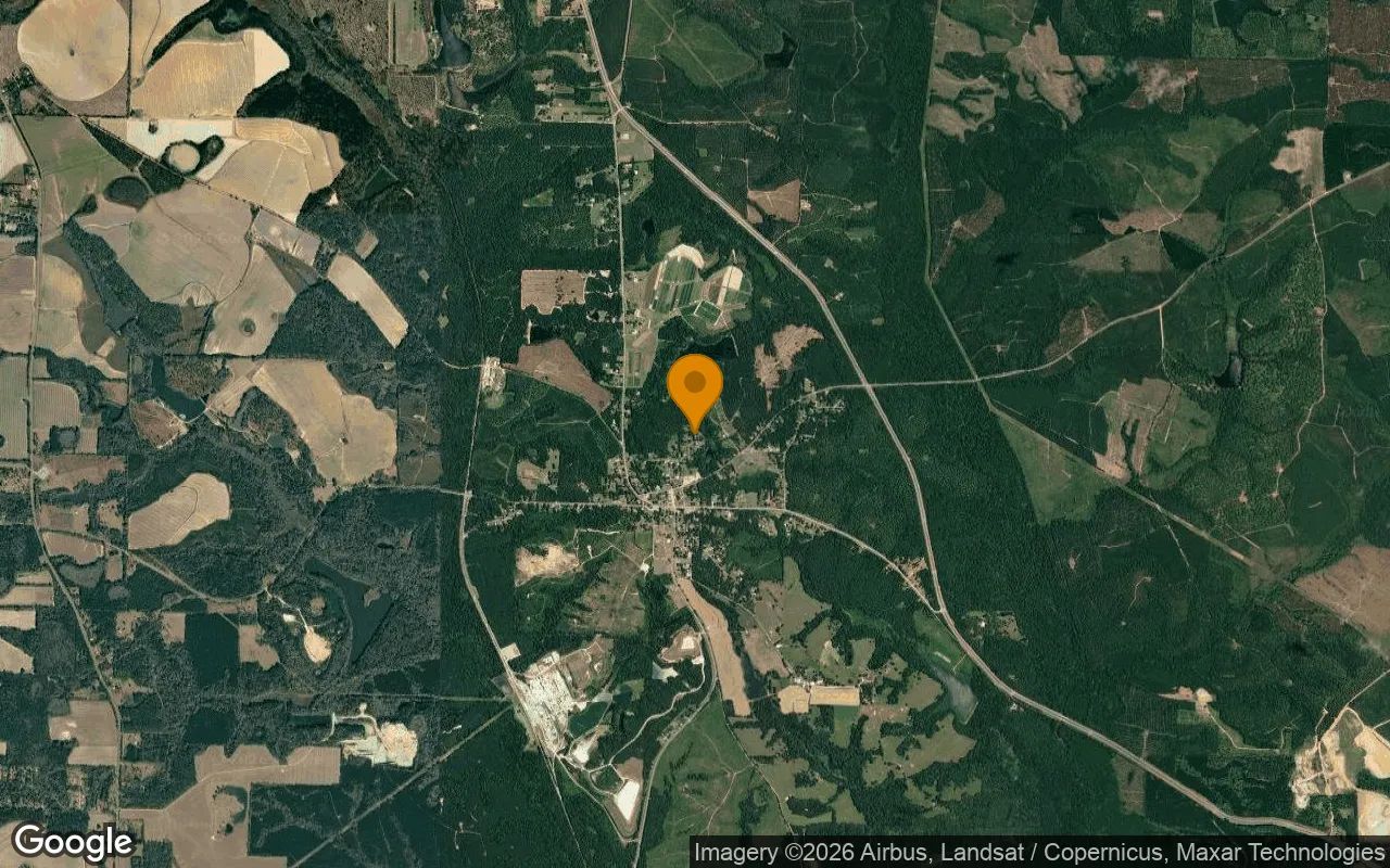 0.24 Acres in Attapulgus - Decatur County, GA in Decatur County, GA