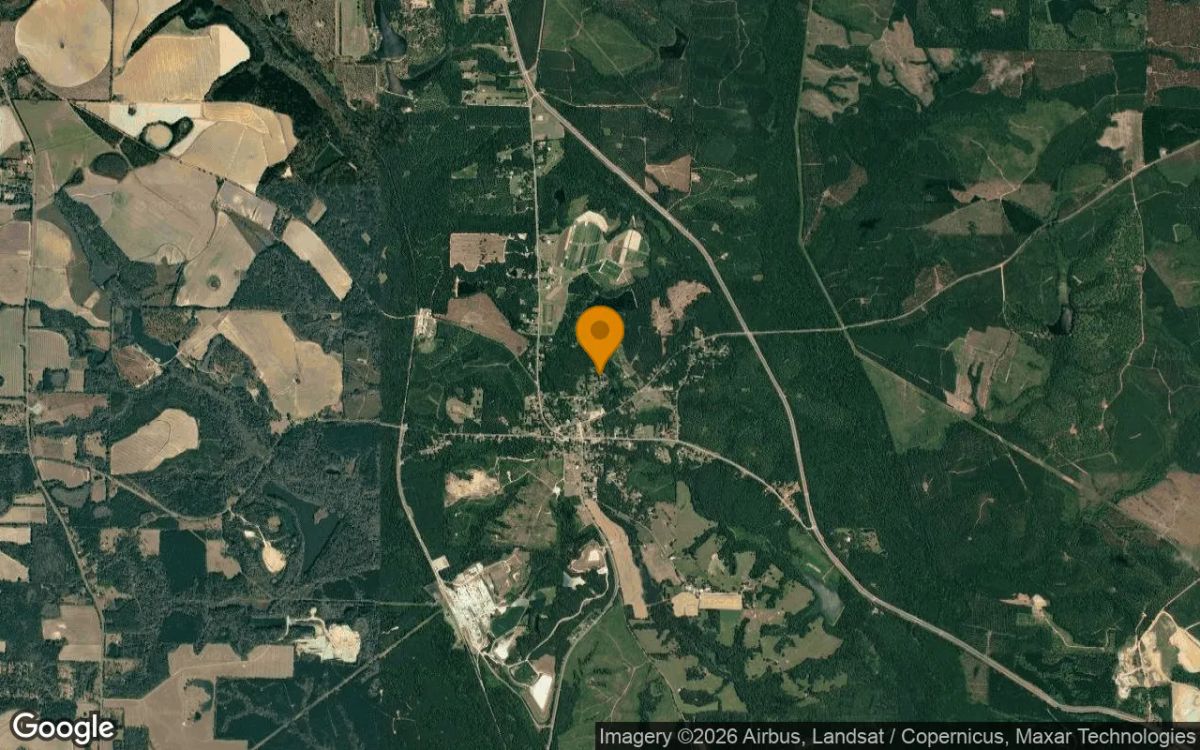 0.24 Acres in Attapulgus - Decatur County, GA - Image 3