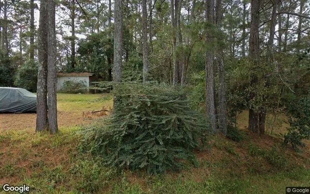 0.24 Acres in Attapulgus - Decatur County, GA - Image 4