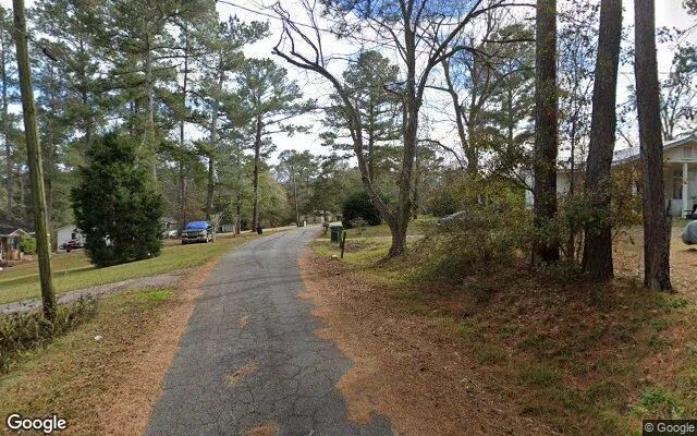 Decorative background for 0.24 Acres in Attapulgus - Decatur County, GA image 5