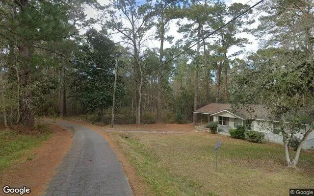 Decorative background for 0.24 Acres in Attapulgus - Decatur County, GA image 6