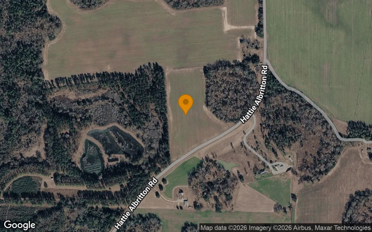Decorative background for 34.75 Acres in Dawson - Terrell County, GA image 6