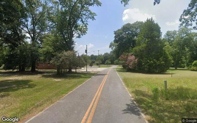 Decorative background for 0.56 Acres in Allentown - Wilkinson County, GA image 5