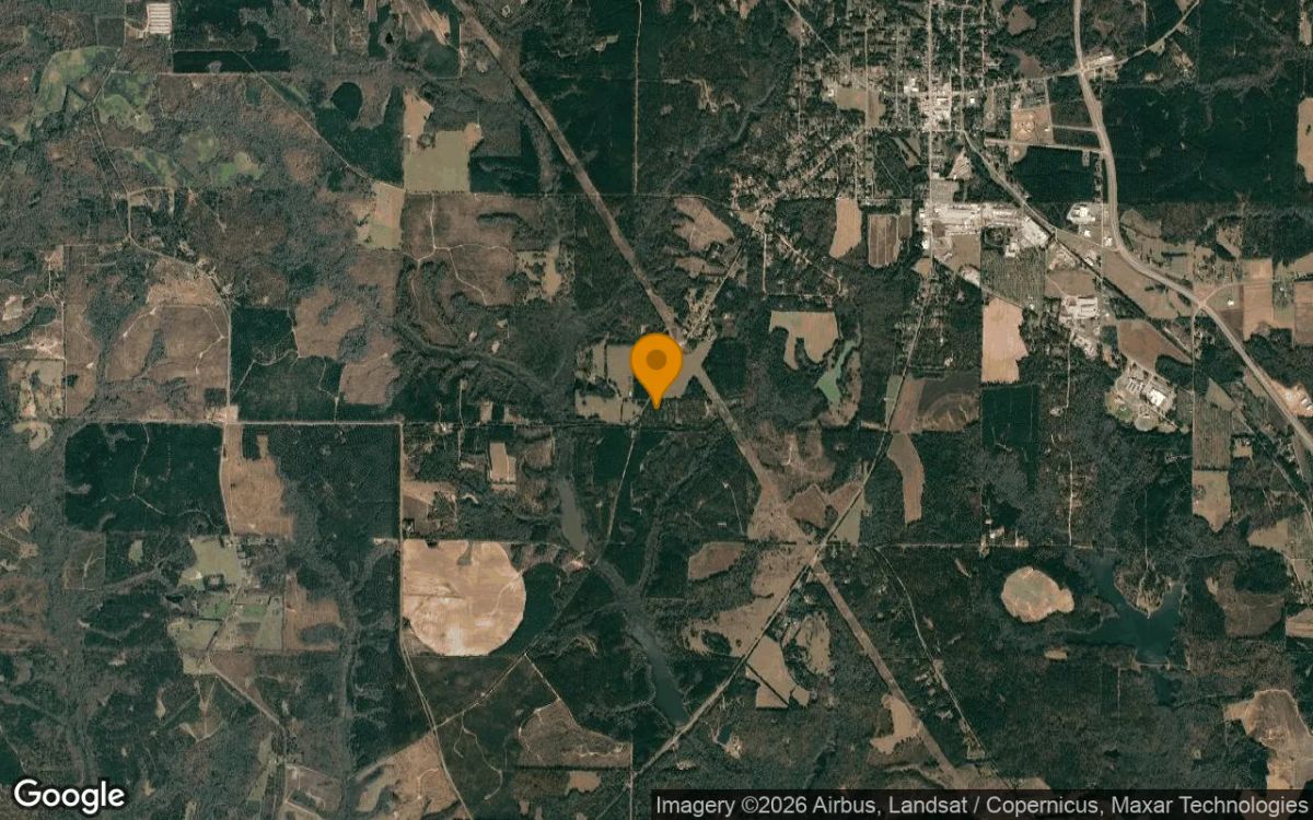 7.73 Acres in Ellaville - Schley County, GA - Image 3