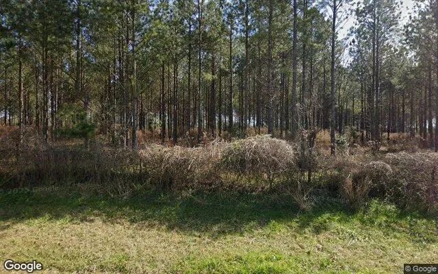 7.73 Acres in Ellaville - Schley County, GA - Image 4