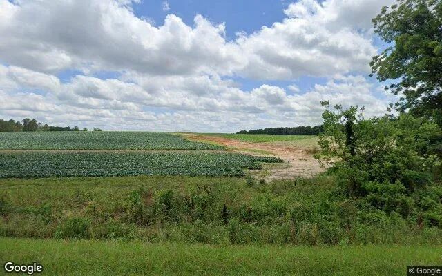 75.32 Acres in Dixie - Brooks County, GA in Brooks County, GA