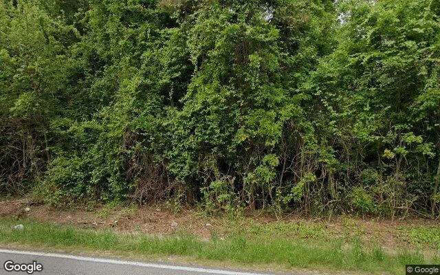 0.55 Acres in Sunny Side - Spalding County, GA - Image 4