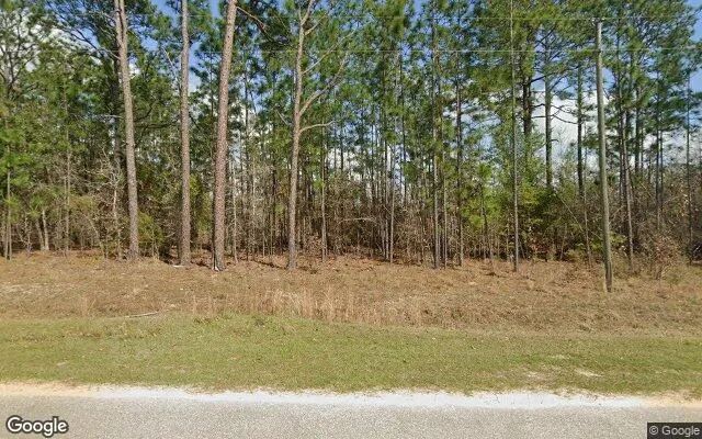0.55 Acres in Donalsonville - Seminole County, GA - Image 4