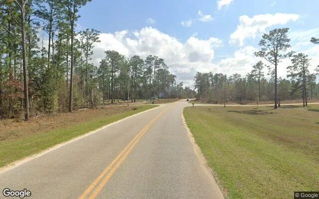 Decorative background for 0.55 Acres in Donalsonville - Seminole County, GA image 6