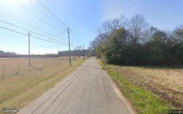 Decorative background for 0.55 Acres in Fort Valley - Peach County, GA image 5