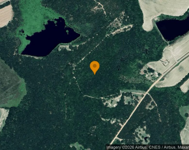 7.52 Acres in Portal - Bulloch County, GA in Bulloch County, GA